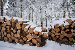 Foto: Holzstapel im Schnee